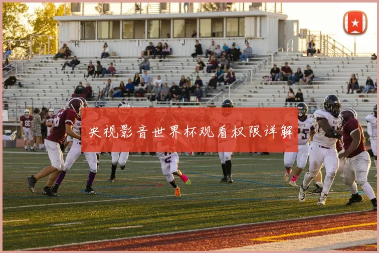 央视影音世界杯观看权限详解