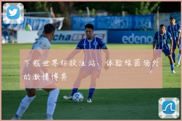 下载世界杯投注站，体验绿茵场外的激情博弈