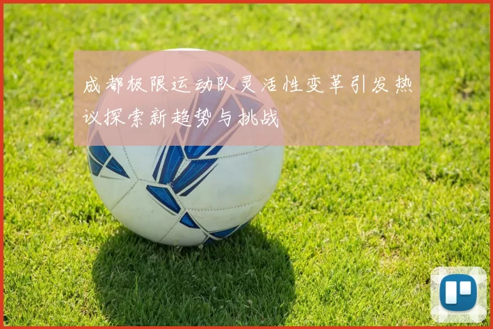 成都极限运动队灵活性变革引发热议探索新趋势与挑战