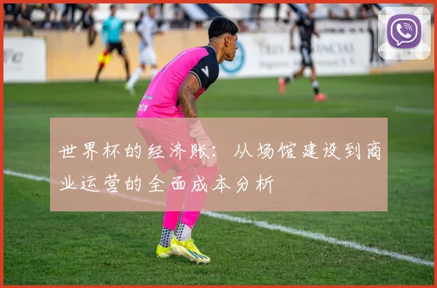 世界杯的经济账：从场馆建设到商业运营的全面成本分析