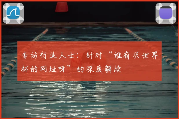 专访行业人士：针对“谁有买世界杯的网址呀”的深度解读