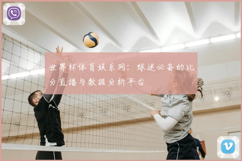世界杯体育娱乐网:球迷必备的比分直播与数据分析平台