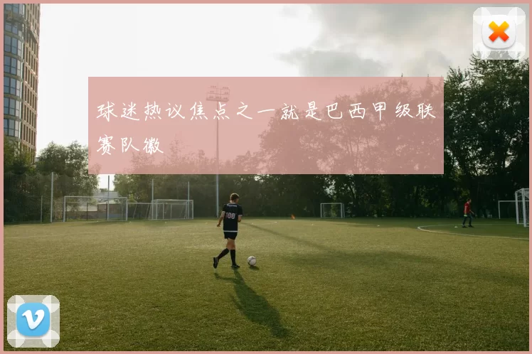 球迷热议焦点之一就是巴西甲级联赛队徽