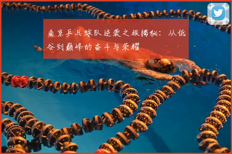 南京乒乓球队逆袭之旅揭秘：从低谷到巅峰的奋斗与荣耀