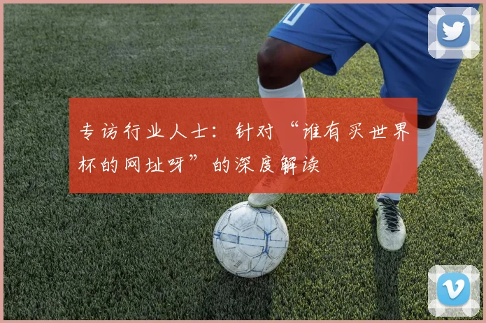专访行业人士：针对“谁有买世界杯的网址呀”的深度解读