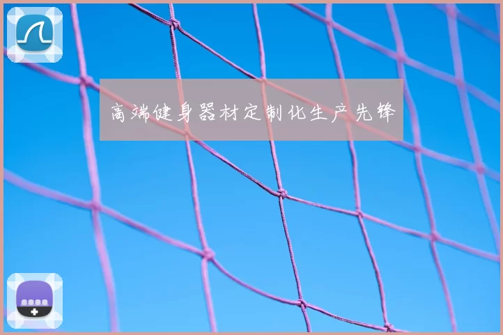 高端健身器材定制化生产先锋
