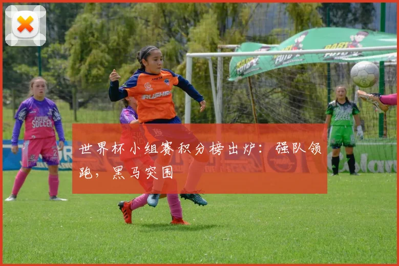 世界杯小组赛积分榜出炉：强队领跑，黑马突围