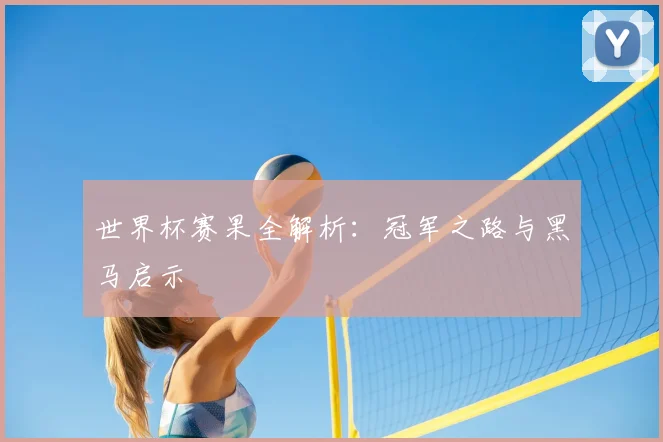 世界杯赛果全解析：冠军之路与黑马启示