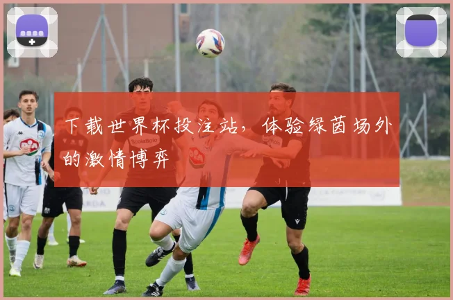 下载世界杯投注站，体验绿茵场外的激情博弈