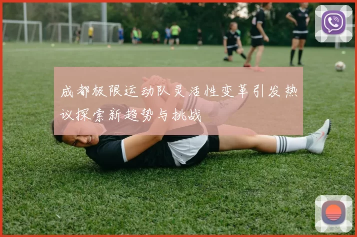 成都极限运动队灵活性变革引发热议探索新趋势与挑战