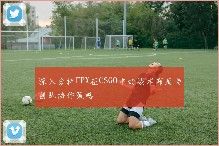 深入分析FPX在CSGO中的战术布局与团队协作策略