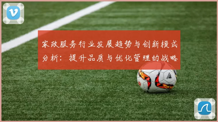家政服务行业发展趋势与创新模式分析：提升品质与优化管理的战略路径