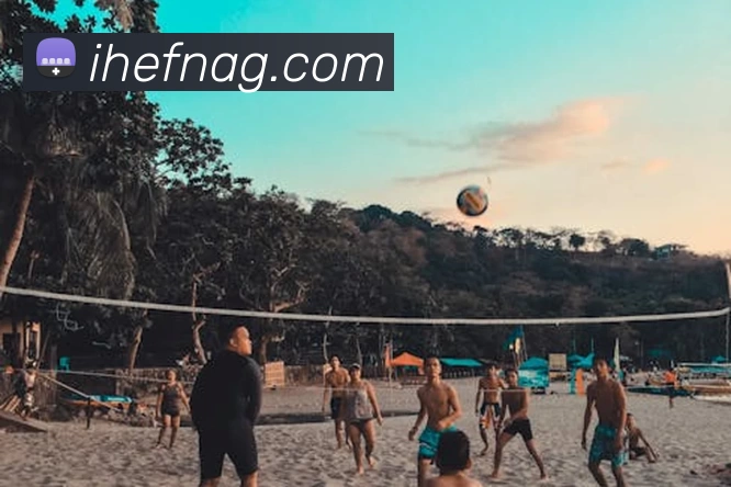 星空体育APP 封面图